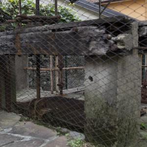 Maccagno Imperiale 9 10 2021 180