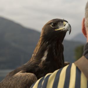 Maccagno Imperiale 9 10 2021 201