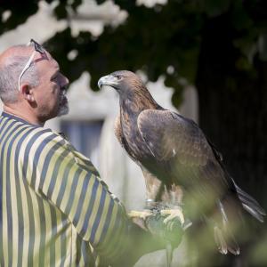 Maccagno Imperiale 10 10 2021 147