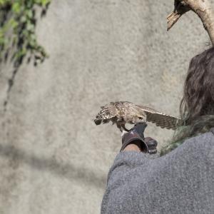 Maccagno Imperiale 10 10 2021 180