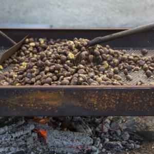 Maccagno Imperiale 10 10 2021 185