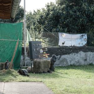 Maccagno Imperiale 10 10 2021 20