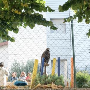 Maccagno Imperiale 10 10 2021 31