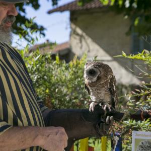 Maccagno Imperiale 2022 2437