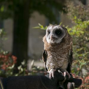 Maccagno Imperiale 2022 2439