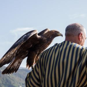 Maccagno Imperiale 2023 10