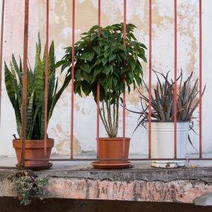 Maccagno Imperiale 2023 133