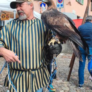 Maccagno Imperiale 2024 139