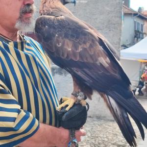 Maccagno Imperiale 2024 141