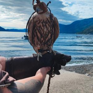 Maccagno Imperiale 2024 154