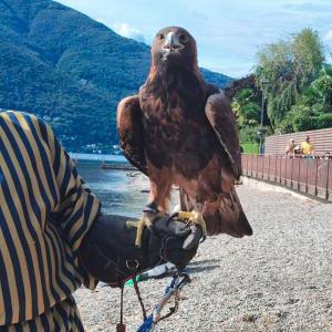 Maccagno Imperiale 2024 156