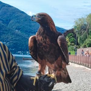 Maccagno Imperiale 2024 157