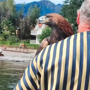 Maccagno Imperiale 2024 159